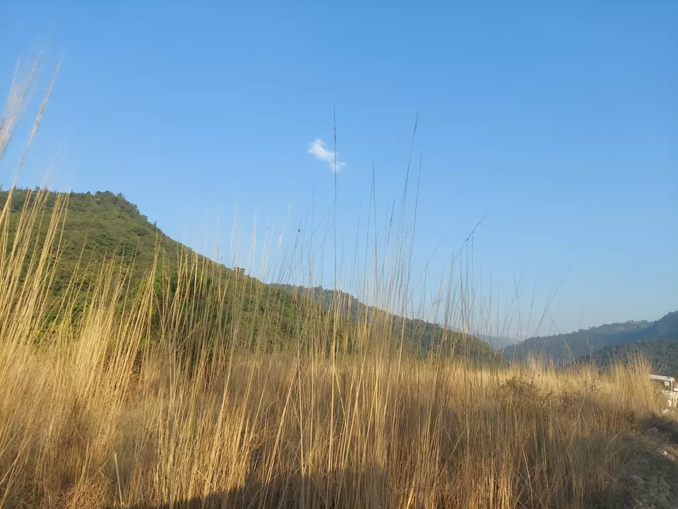 Photo of Cheela Colony by Namah Shivay