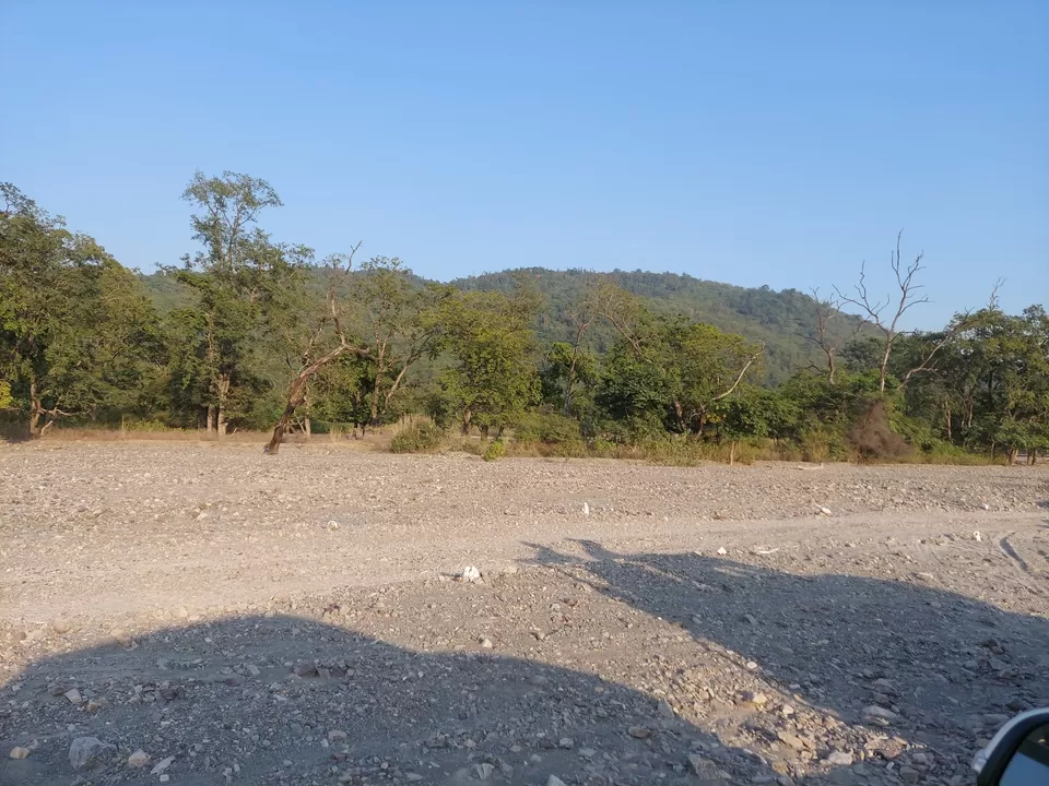 Photo of Cheela Colony by Namah Shivay
