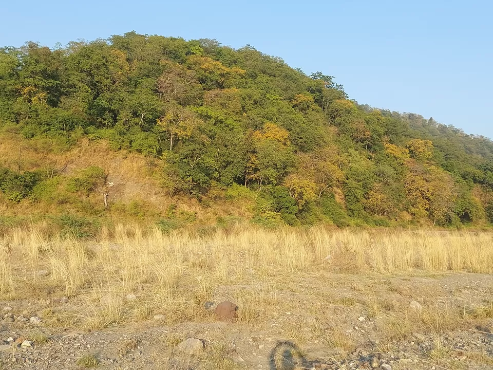 Photo of Cheela Colony by Namah Shivay