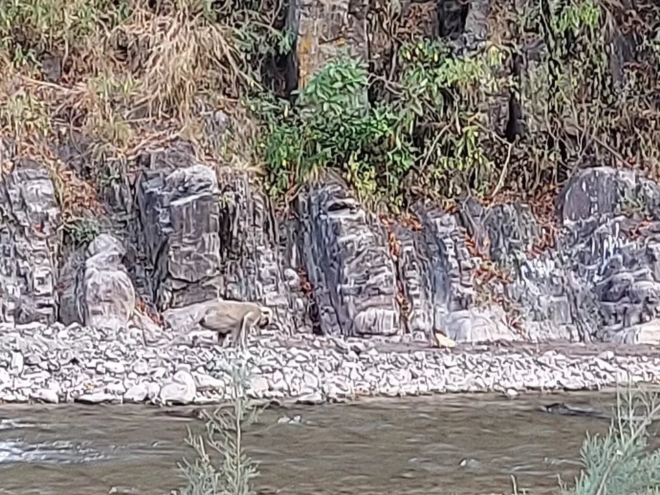 Photo of Cheela Colony by Namah Shivay