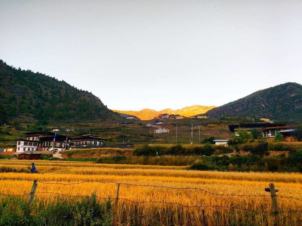Photo of Happy In The Happiest Country by Supriya