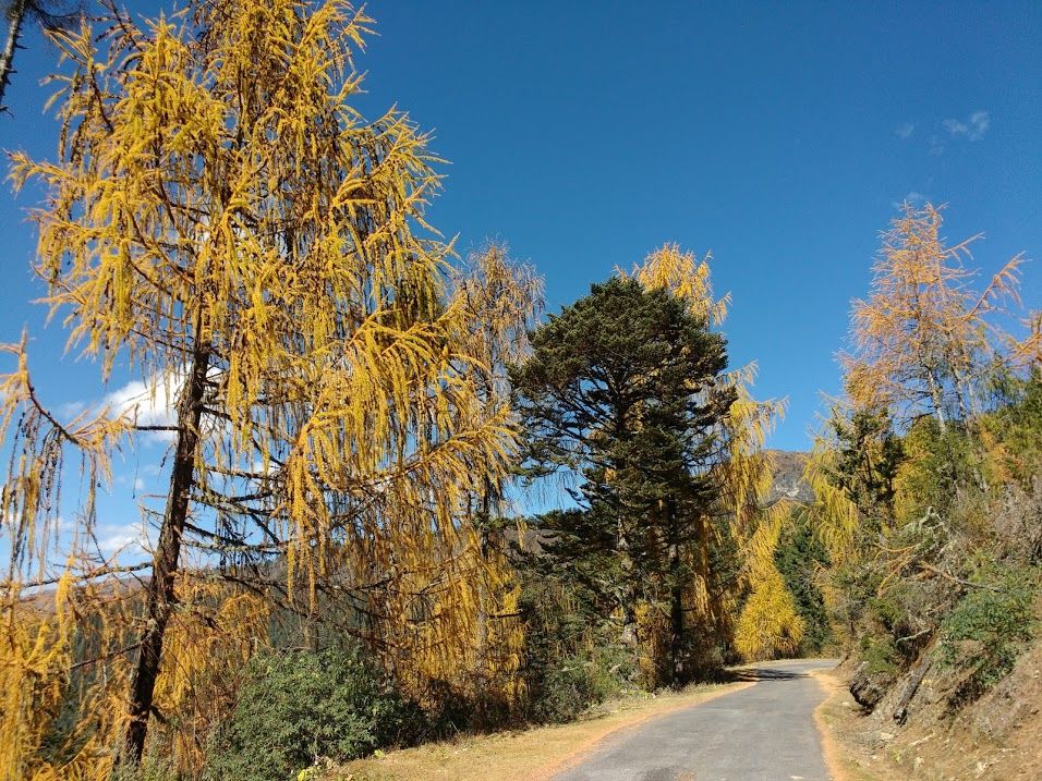 Photo of Haa, Bhutan by Supriya