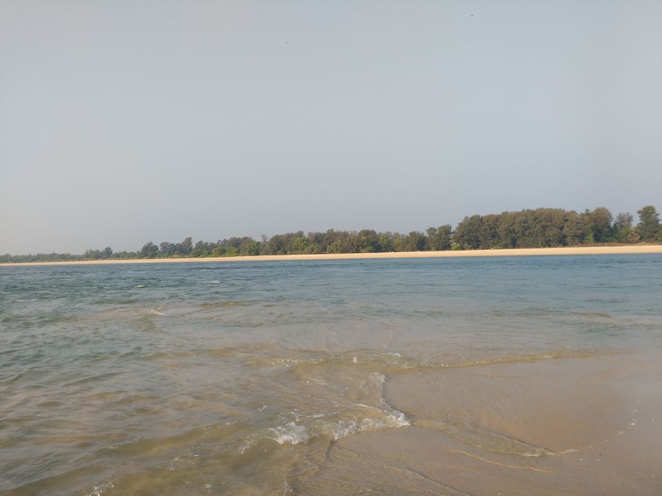 Photo of Delta beach backwater, Kodi Bengare - Hoode Road, Kodi Bengare, Karnataka, India by Supriya