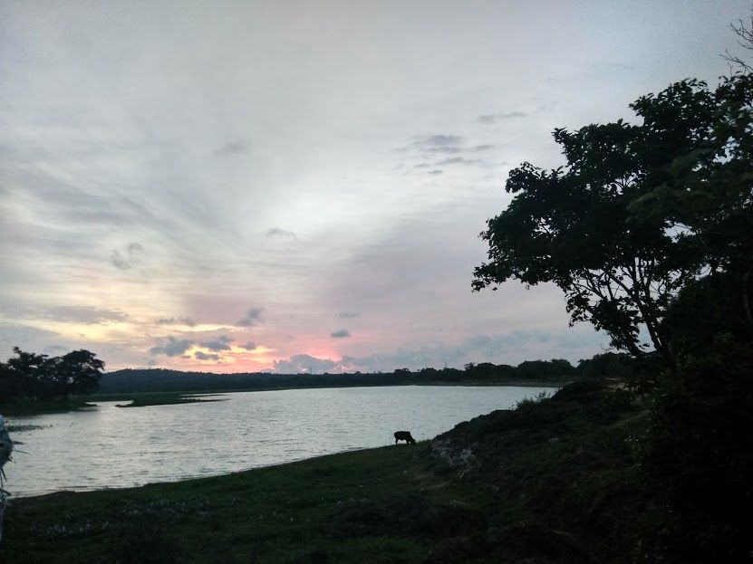 Photo of Habarana, North Central Province, Sri Lanka by Supriya