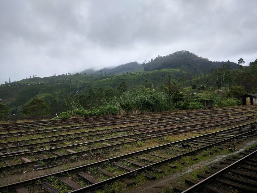 Photo of Nanu Oya Railway Station, Avissawella-Hatton-Nuwara Eliya Highway, Nanuoya, Central Province, Sri Lanka by Supriya