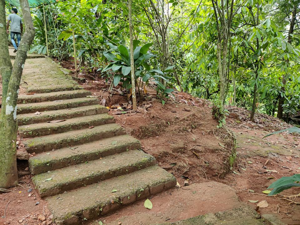 Photo of Kerala- House of Nature(Travelled during covid) 6/51 by Bhakti Kulkarni
