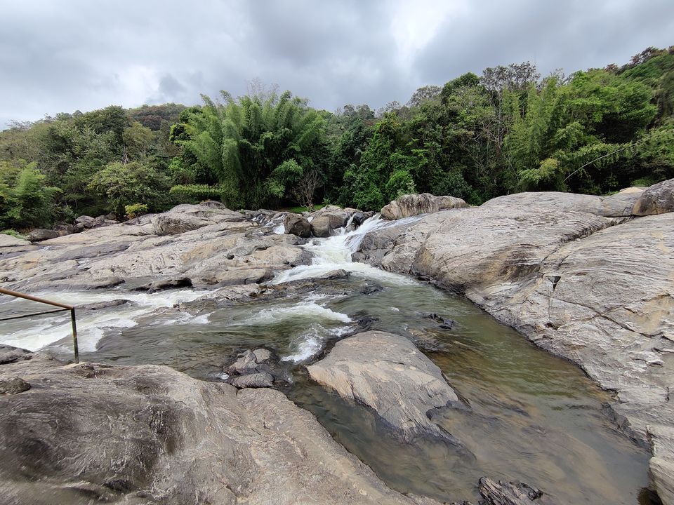 Photo of Kerala- House of Nature(Travelled during covid) 11/51 by Bhakti Kulkarni