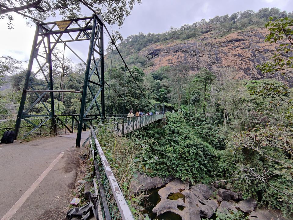 Photo of Kerala- House of Nature(Travelled during covid) 12/51 by Bhakti Kulkarni