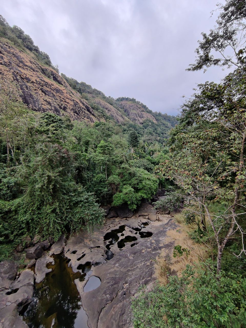 Photo of Kerala- House of Nature(Travelled during covid) 13/51 by Bhakti Kulkarni