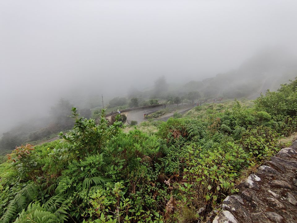 Photo of Kerala- House of Nature(Travelled during covid) 18/51 by Bhakti Kulkarni