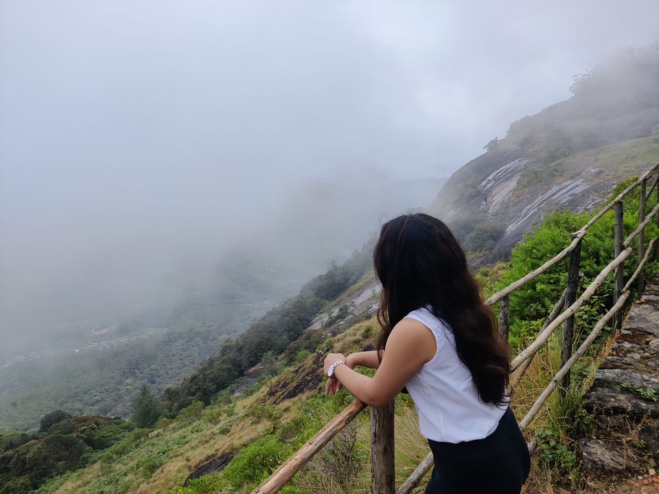 Photo of Kerala- House of Nature(Travelled during covid) 19/51 by Bhakti Kulkarni