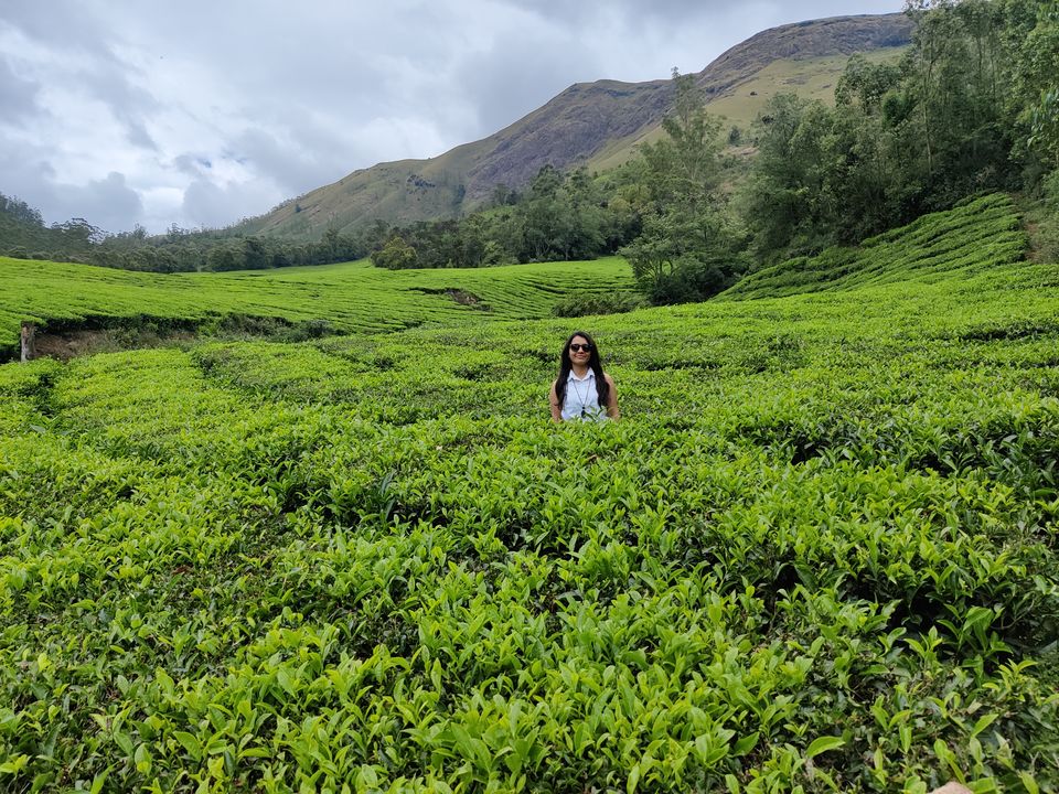 Photo of Kerala- House of Nature(Travelled during covid) 23/51 by Bhakti Kulkarni