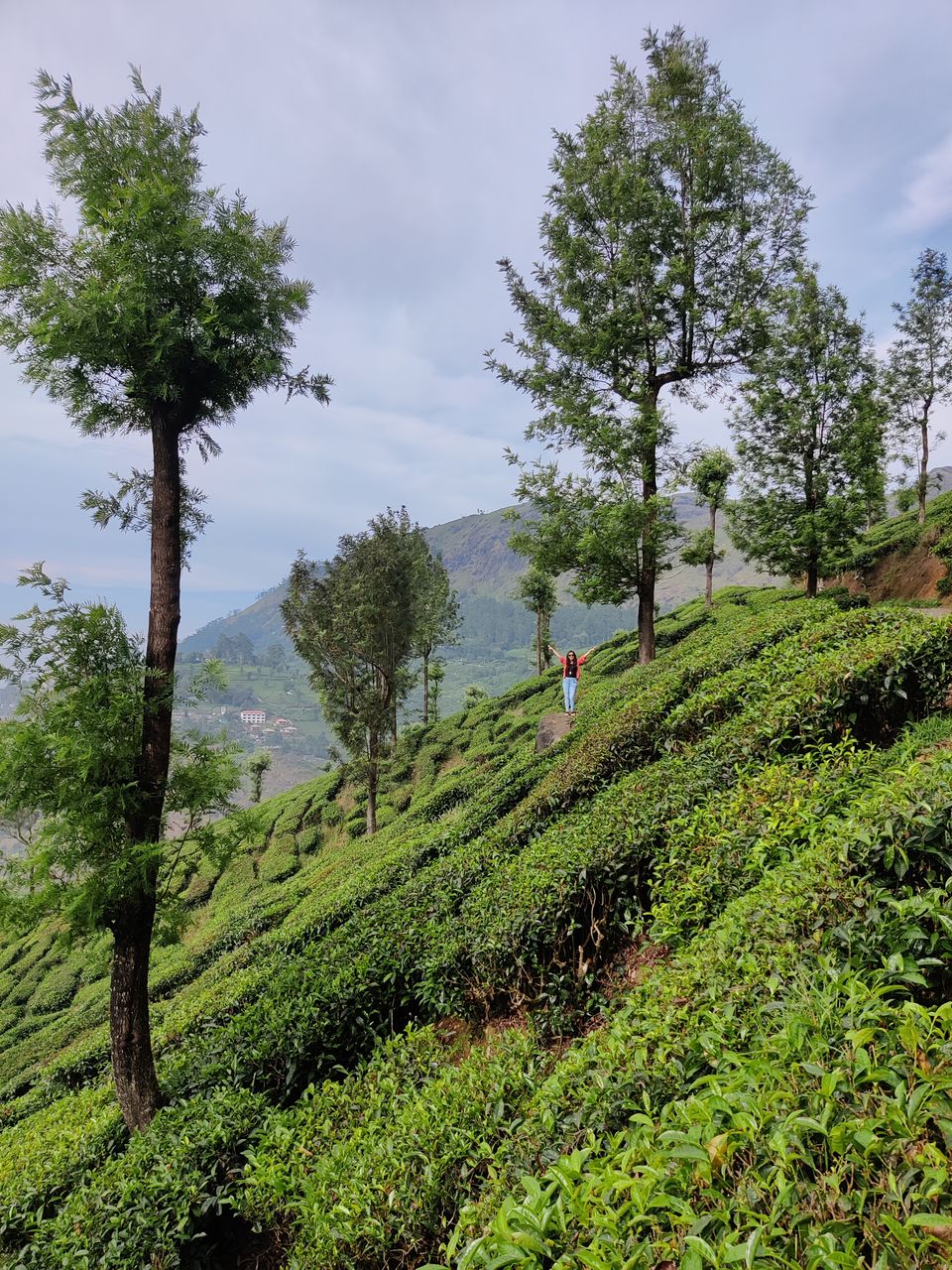 Photo of Kerala- House of Nature(Travelled during covid) 24/51 by Bhakti Kulkarni