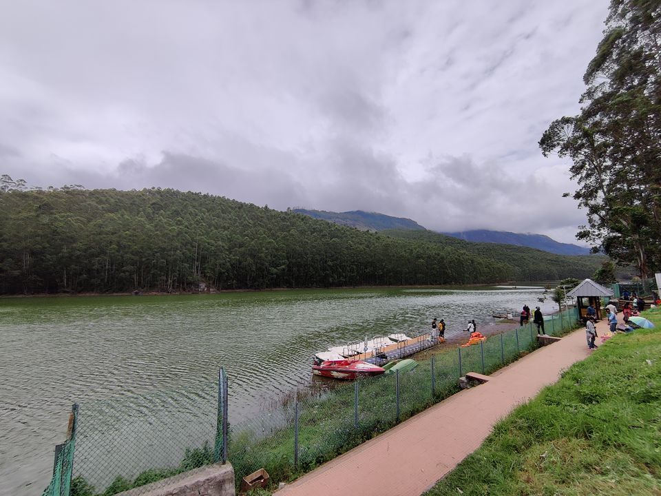 Photo of Kerala- House of Nature(Travelled during covid) 26/51 by Bhakti Kulkarni