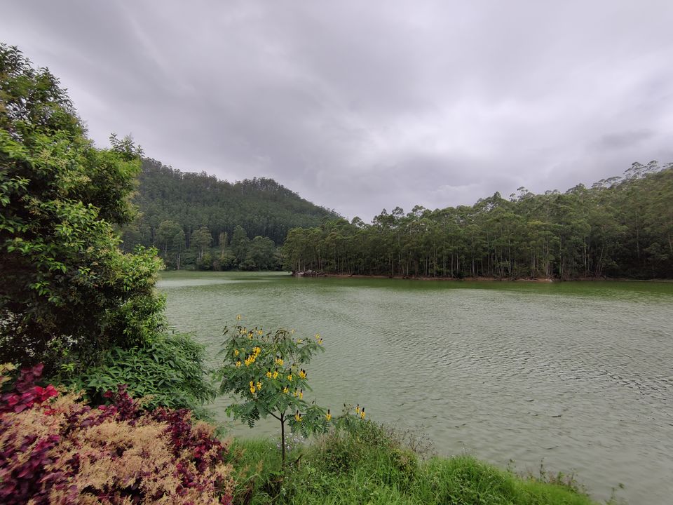 Photo of Kerala- House of Nature(Travelled during covid) 27/51 by Bhakti Kulkarni