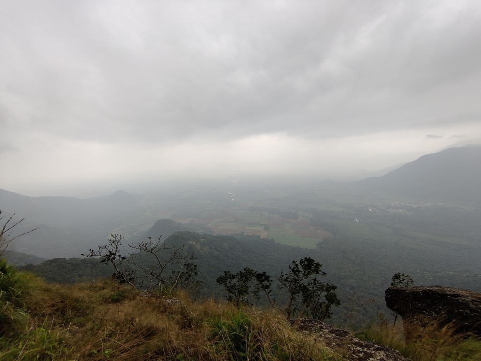 Photo of Kerala- House of Nature(Travelled during covid) 33/51 by Bhakti Kulkarni