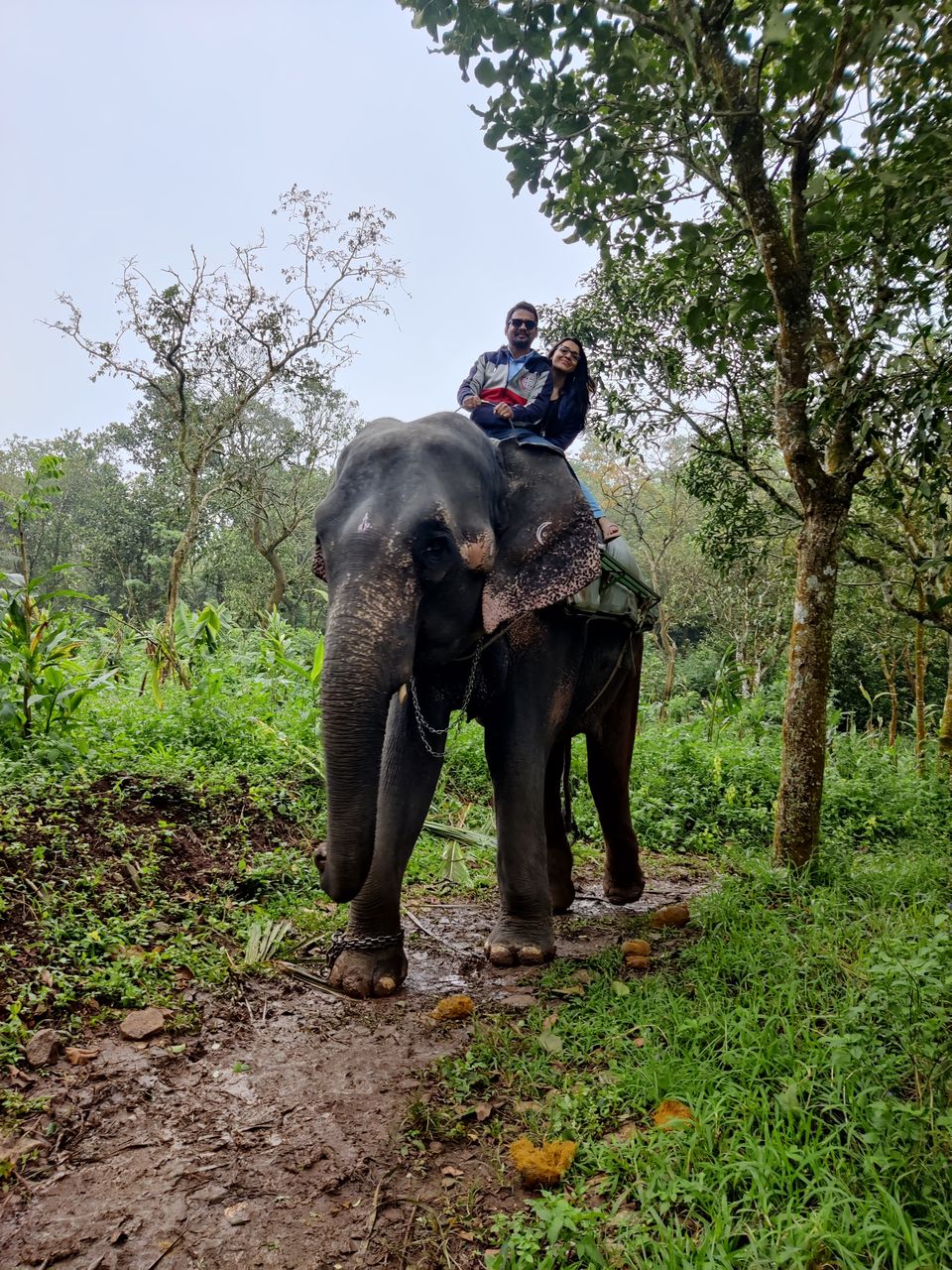 Photo of Kerala- House of Nature(Travelled during covid) 34/51 by Bhakti Kulkarni