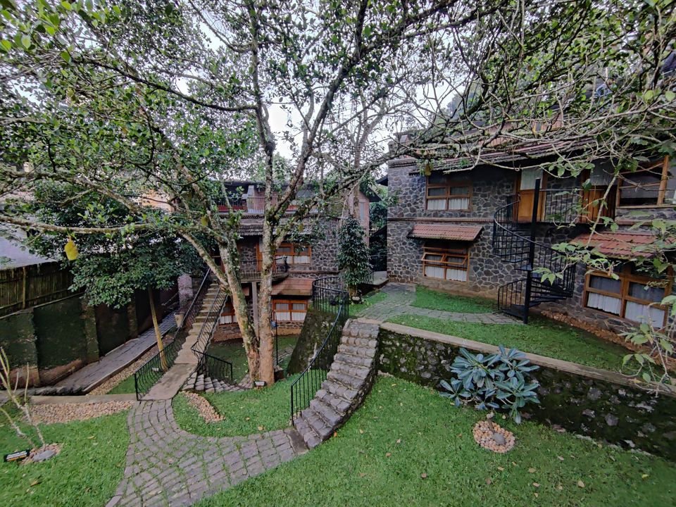Photo of Kerala- House of Nature(Travelled during covid) 37/51 by Bhakti Kulkarni