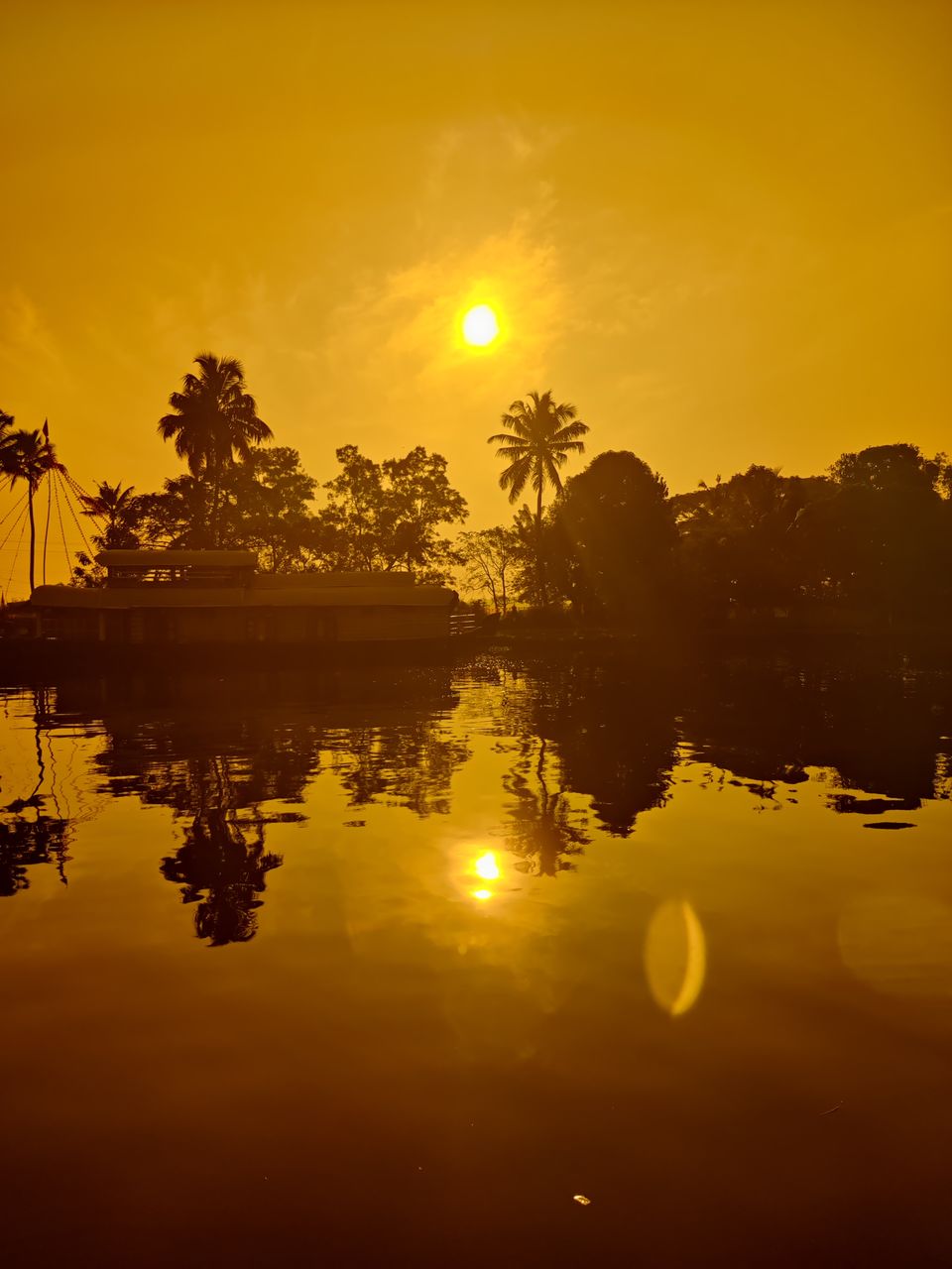 Photo of Kerala- House of Nature(Travelled during covid) 42/51 by Bhakti Kulkarni