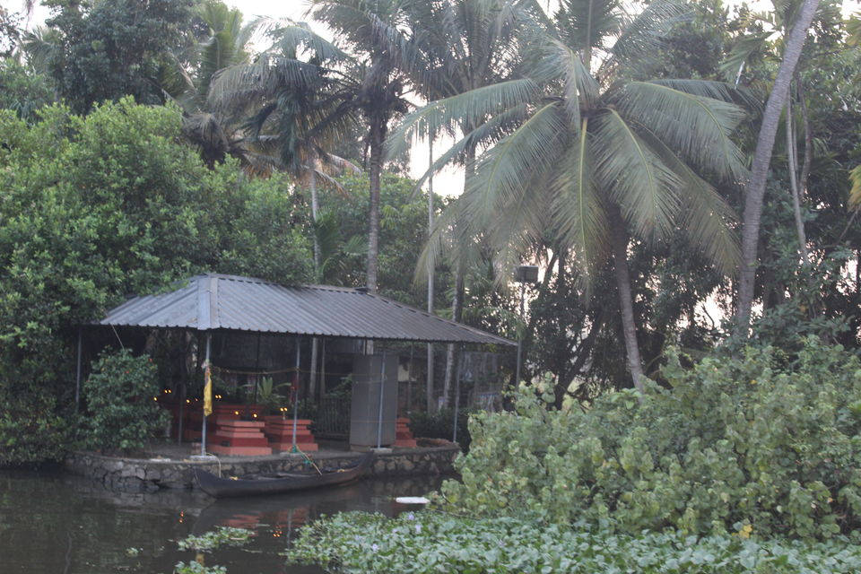 Photo of Kerala- House of Nature(Travelled during covid) 43/51 by Bhakti Kulkarni