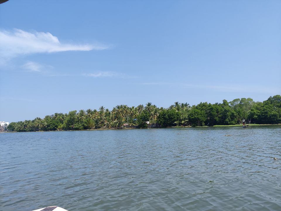 Photo of Kerala- House of Nature(Travelled during covid) 48/51 by Bhakti Kulkarni
