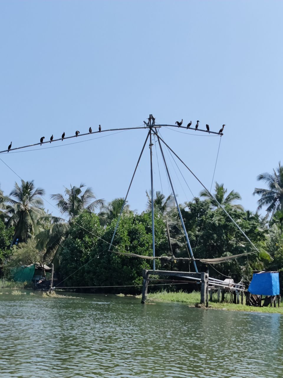 Photo of Kerala- House of Nature(Travelled during covid) 49/51 by Bhakti Kulkarni