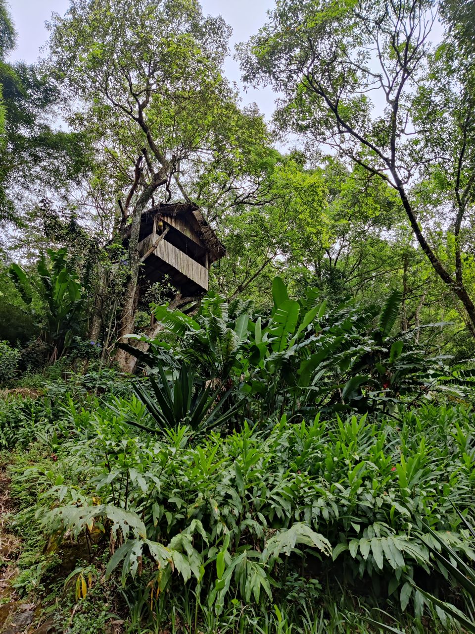 Photo of Kerala- House of Nature(Travelled during covid) 29/51 by Bhakti Kulkarni