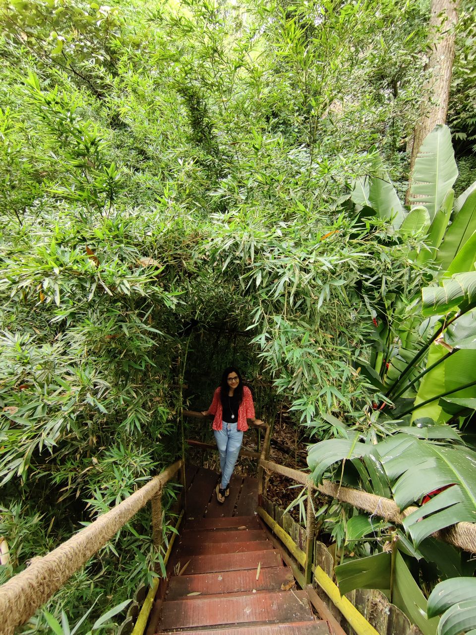 Photo of Kerala- House of Nature(Travelled during covid) 30/51 by Bhakti Kulkarni