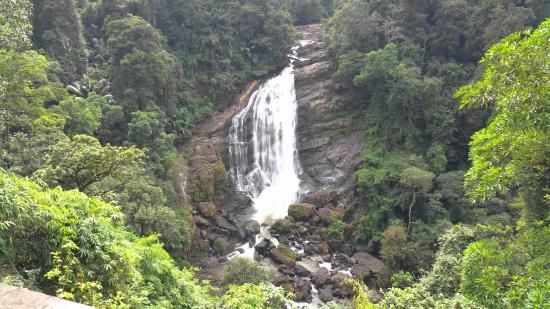 Photo of Kerala- House of Nature(Travelled during covid) 3/51 by Bhakti Kulkarni