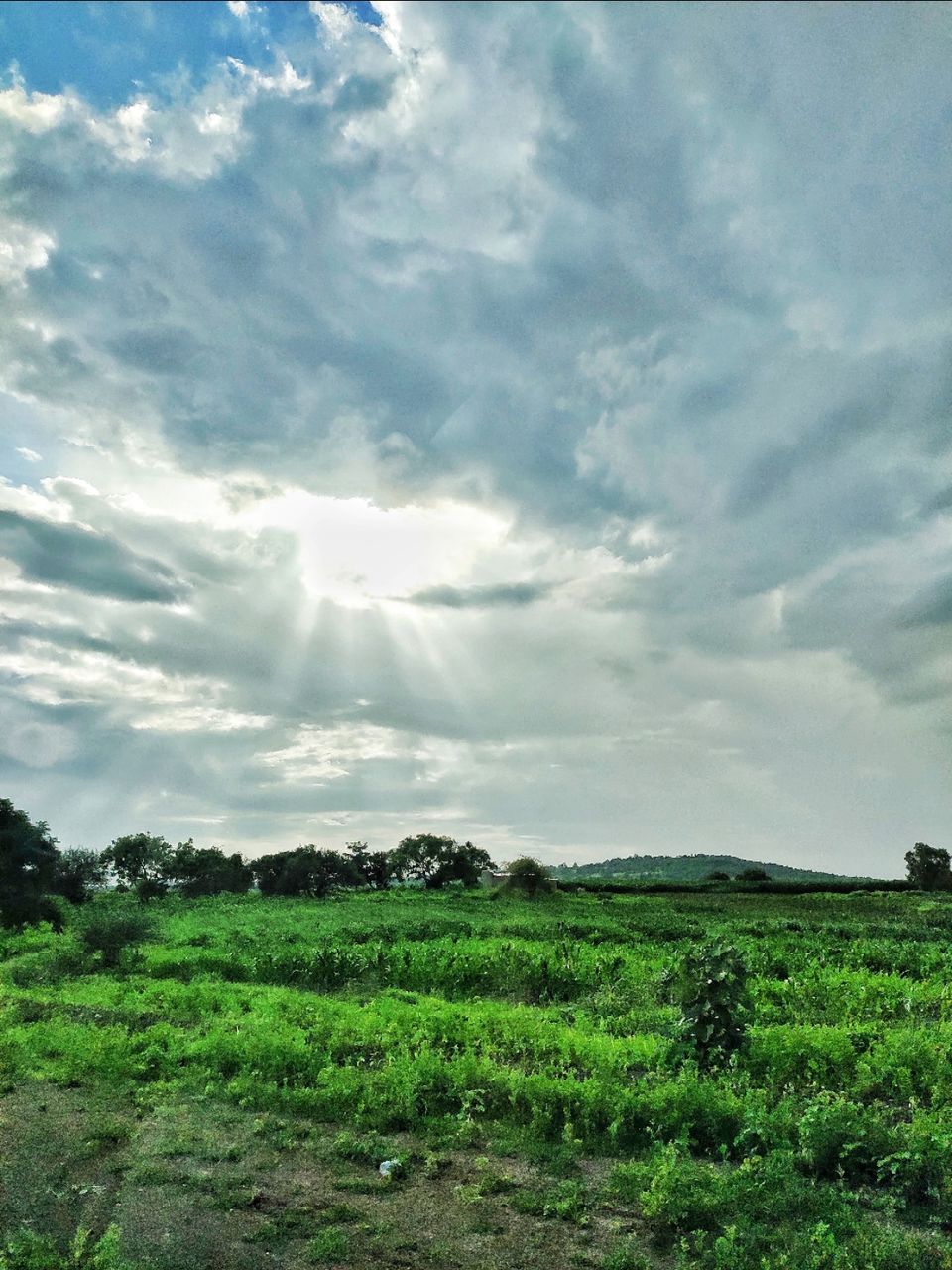 Photo of Aurangabad Budget Road Trip by Prathamesh Pawar