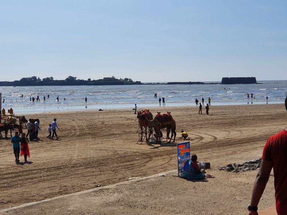 Photo of Road Trip To Virgin Beaches Of Konkan (Coastal Maharashtra) - Cleopatra's Travel 1/11 by Cleopatras Travel