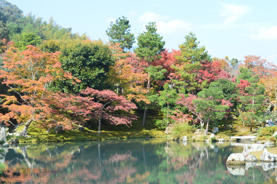 Photo of Japan in Autumn: You have to See It to believe It 1/48 by Soumyaranjan Pradhan