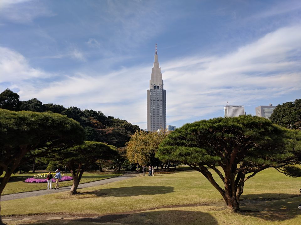 Photo of Japan in Autumn: You have to See It to believe It 6/48 by Soumyaranjan Pradhan