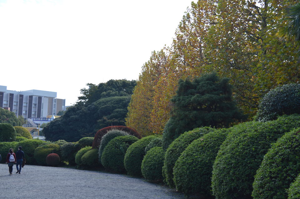 Photo of Japan in Autumn: You have to See It to believe It 7/48 by Soumyaranjan Pradhan