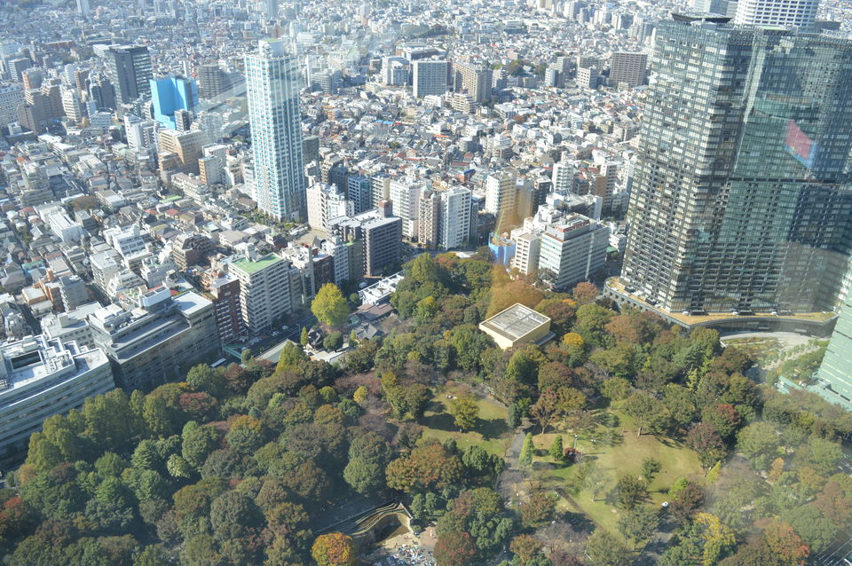 Photo of Japan in Autumn: You have to See It to believe It 9/48 by Soumyaranjan Pradhan