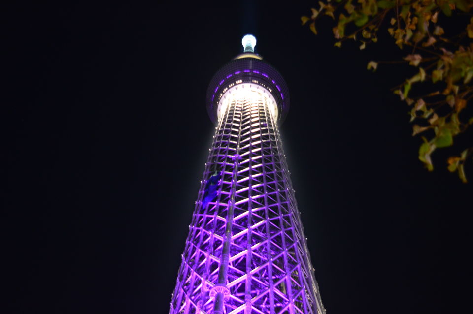 Photo of Japan in Autumn: You have to See It to believe It 16/48 by Soumyaranjan Pradhan