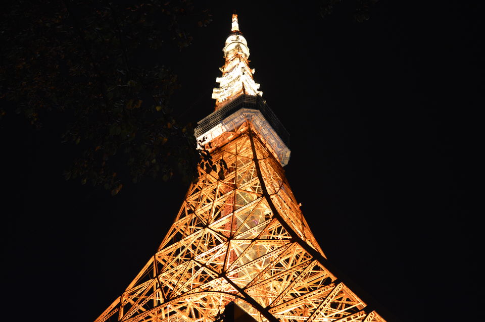 Photo of Japan in Autumn: You have to See It to believe It 18/48 by Soumyaranjan Pradhan