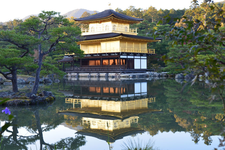 Photo of Japan in Autumn: You have to See It to believe It 22/48 by Soumyaranjan Pradhan