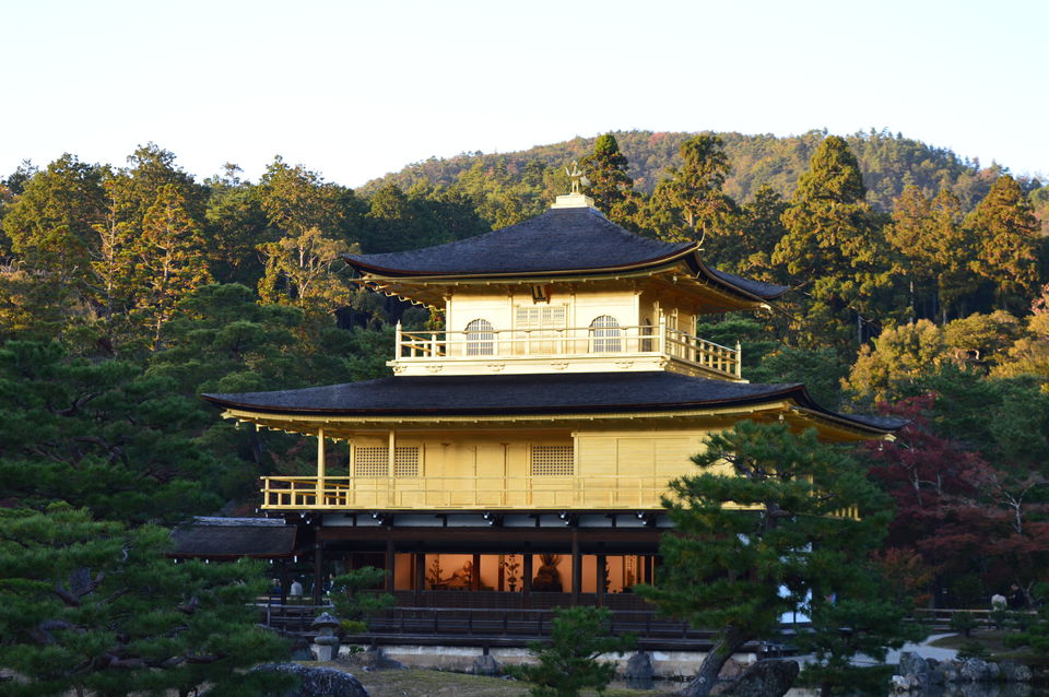 Photo of Japan in Autumn: You have to See It to believe It 23/48 by Soumyaranjan Pradhan