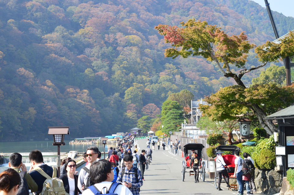 Photo of Japan in Autumn: You have to See It to believe It 26/48 by Soumyaranjan Pradhan