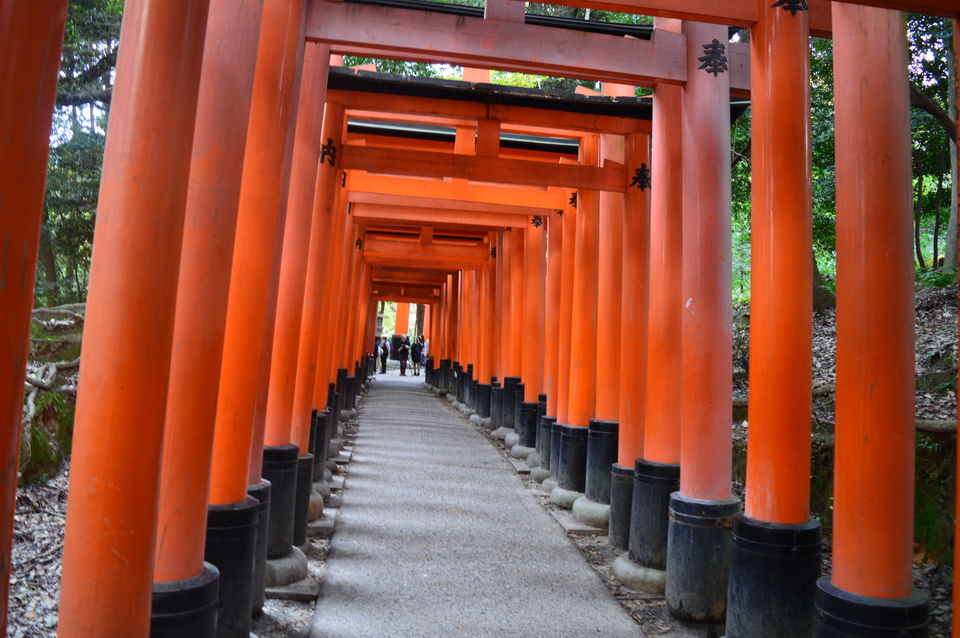 Photo of Japan in Autumn: You have to See It to believe It 29/48 by Soumyaranjan Pradhan