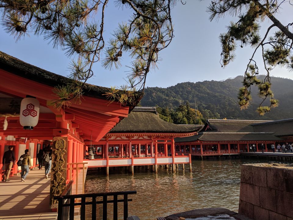 Photo of Japan in Autumn: You have to See It to believe It 40/48 by Soumyaranjan Pradhan