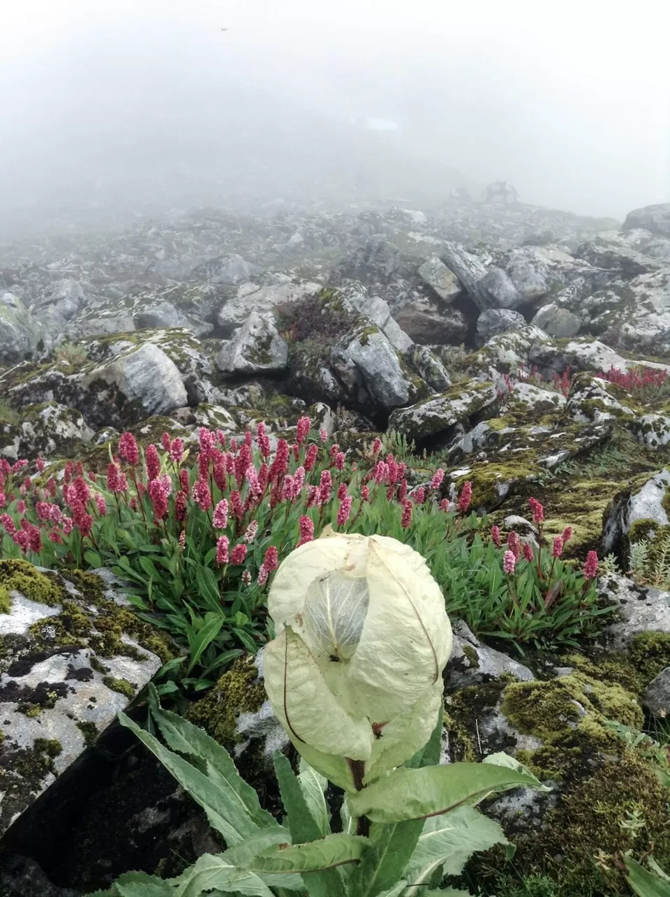 Photo of Hemkund Sahib Gurudwara Trek- Heavenly Place by Saurav Rawat