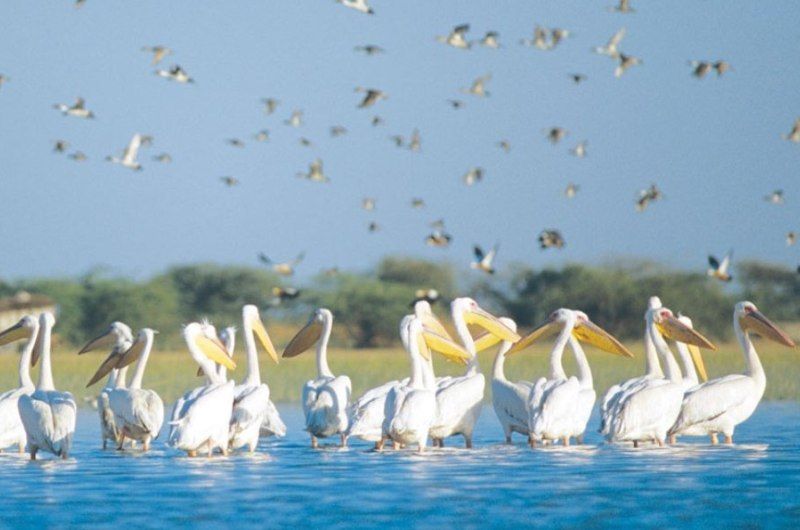 Photo of અંબિકા નિવાસ મહેલ @ મુળી, ગુજરાત ખાતે ભવ્ય હેરિટેજમાં રજાઓ ગાળો by Jinal Shah