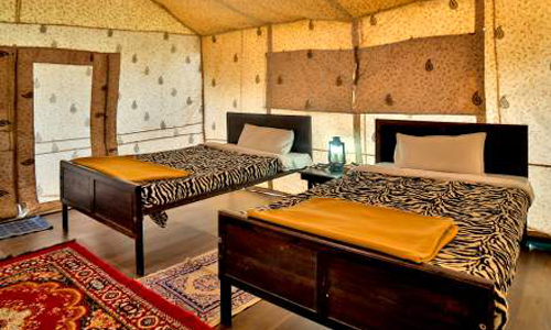 Photo of A Perfect Winter Holiday Destination - White Rann. by Jinal shah
