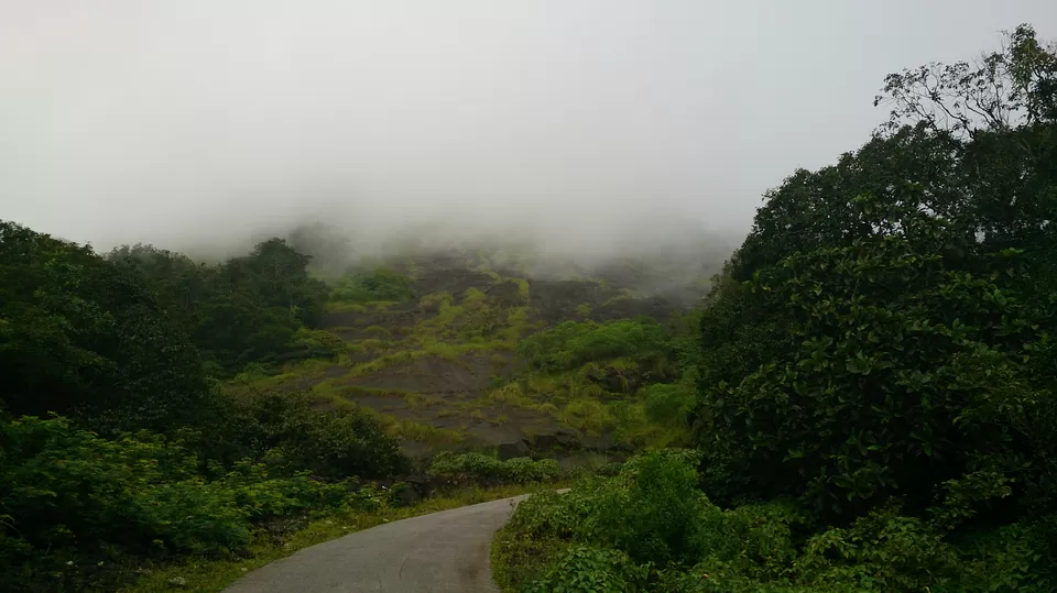 Photo of Kundadri Hill, Shimoga, Karnataka, India by Shashank K Pal