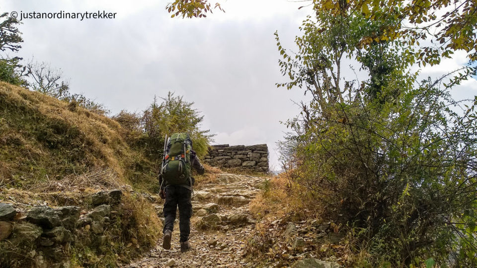Photo of Nag Tibba Trek - The perfect weekend trek with an amazing sunset! 1/29 by Just an Ordinary Trekker