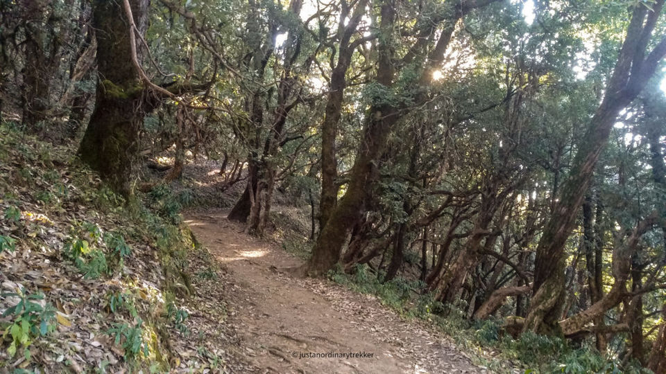 Photo of Nag Tibba Trek - The perfect weekend trek with an amazing sunset! 15/29 by Just an Ordinary Trekker