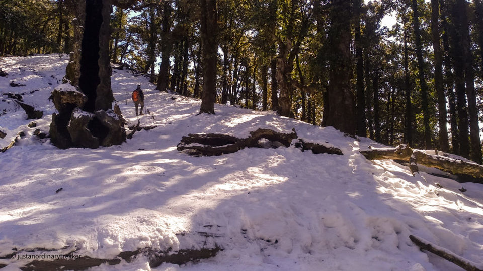 Photo of Nag Tibba Trek - The perfect weekend trek with an amazing sunset! 17/29 by Just an Ordinary Trekker