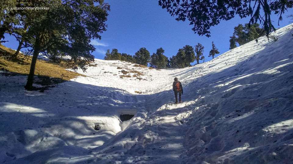 Photo of Nag Tibba Trek - The perfect weekend trek with an amazing sunset! 19/29 by Just an Ordinary Trekker